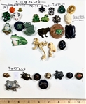Frogs & Turtles