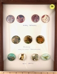 Cats and a Bird (Identifiable)