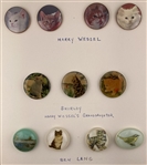 Cats and a Bird (Identifiable)