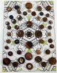 Vegetable Ivory