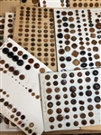 Vegetable Ivory