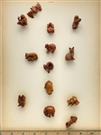 Boxwood Critters