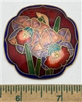 Enamel
