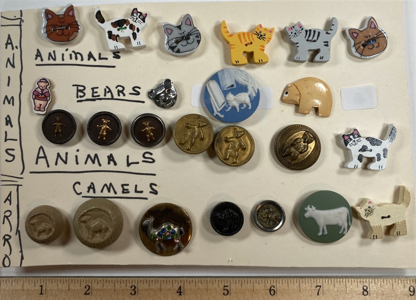 Animals
