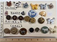 Animals
