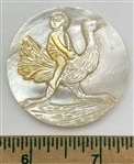 Boy on Ostrich