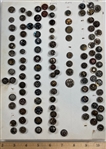 Small Steel Cups Plus