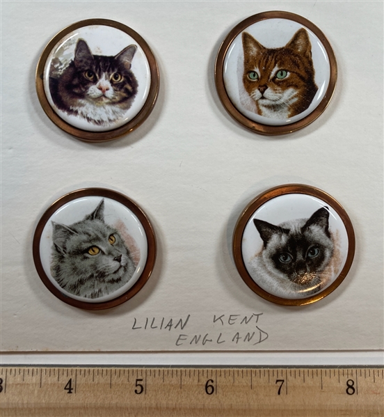 4 Cats