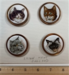 4 Cats
