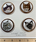4 Cats