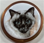 4 Cats