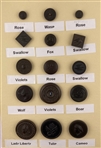Pictorial Rubber