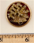 Unusual Jeweled Button with  Enamel border
