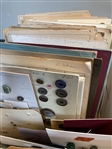 Box Lot